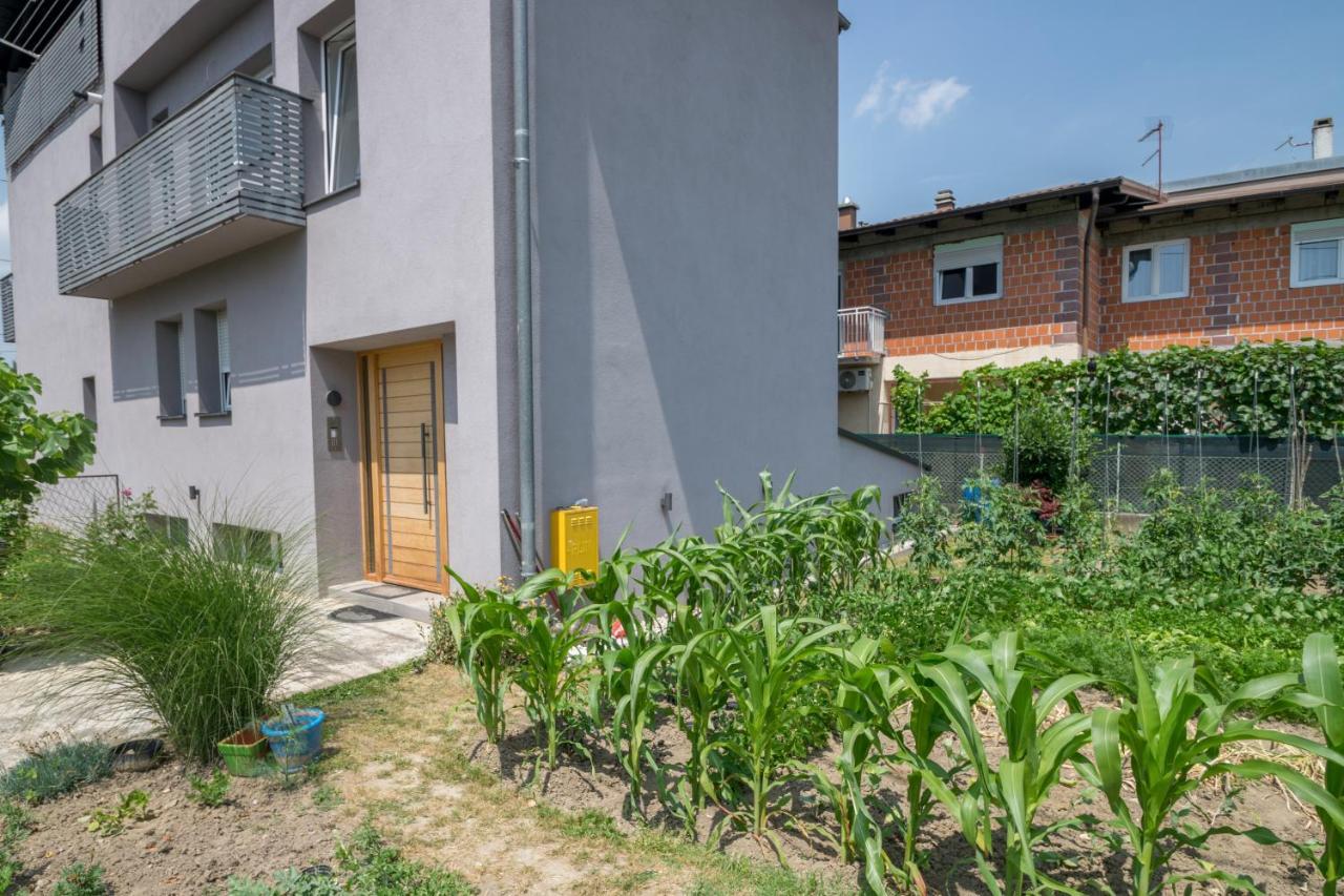 Pomodoro Rooms Zagreb Luaran gambar
